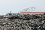 Киев начнет строить мусоросжигающий завод в Обуховском районе в этом году