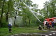 6 пожарных машин тушили лес под Киевом (ФОТО)