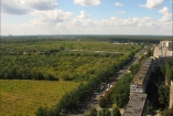 Киевсовет разрешил вырубить тысячи деревьев под строительство на Виноградаре