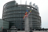 Депутат Европарламента критикует лидеров оппозиции за неявку в Страсубрг