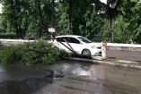 В Киеве ураган повалил деревья на автомобили