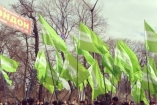 Депутаты от «Фронта змин» отказываются вступать в «Батькивщину»