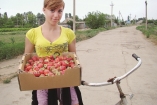 Одесское село Лески стало ягодной столицей Украины