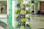 В Днепропетровске стоит автомат, который стреляет цветами