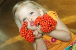 Десять самых полезных ягод осени: грипп лечат клюквой, а болезни глаз - шиповником