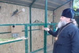 Украинские священники разводят птиц, собирают модели и тренируют молодежь