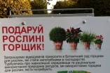 В киевском ботсаду устроили сбор вазонов для цветов