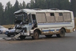 Автобус врезался в дерево в Сумской области