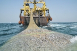 Добыча песка и чрезмерный лов рыбы превращают Черное море в пустыню