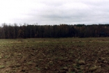 В Луганской области найдена мертвой женщина, считавшаяся пропавшей без вести