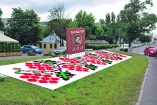 На киевских газонах появится Шевченко