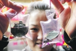 Китайские живые сувениры живут два месяца
