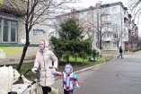 В Киеве открыли охоту на похитителей елок 