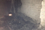 В Киеве на пожаре в многоэтажке спасли лабрадора
