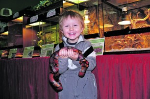 В Днепропетровске детям прививают любовь к змеям, паукам и скорпионам