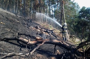 На Тернопольщине от огня спасены 70 га национального парка