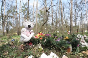 Киевское кладбище домашных животных построят за 3 месяца