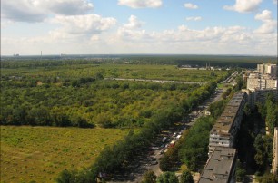Киевсовет разрешит выкорчевать тысячи плодовых деревьев на Виноградаре 