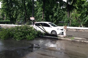 В Киеве ураган повалил деревья на автомобили