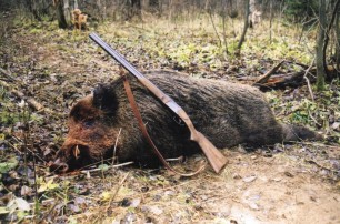 В Ровненской области охотник застрелил мужчину, перепутав его с кабаном