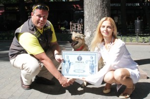 Самая выносливая в мире собака живет в Одессе