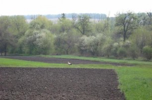 «Свобода» осенью примется за земельное законодательство