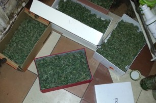 В Киеве у наркоторговца-оптовика изъяли «дури» на 300 тысяч гривен