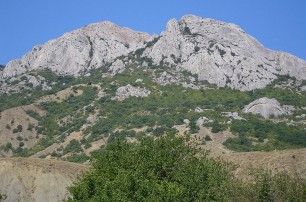 В Крыму одессит упал со скалы и завис на дереве