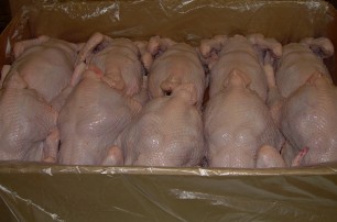 Казахстан запретил ввоз украинской курятины