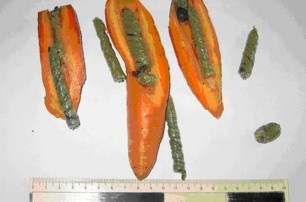 В Ровенской области зеку передали марихуану в морковке