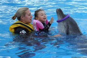 В Алуште лечат дельфинами