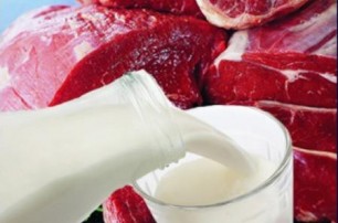 Россия намерена ограничить импорт украинского мяса и молока