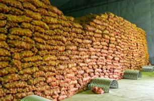 Присяжнюк: Урожай овощей превышает внутреннюю потребность на 2 млн тонн