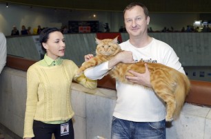 В Украинском доме прошла международная выставка кошек