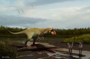В США обнаружили динозавра, который охотился на тиранозавров