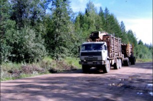 В России автобус с детьми столкнулся с лесовозом