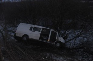 Микроавтобус из Житомира разбился на трассе из-за снегопада