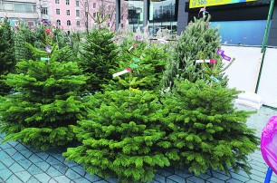 В Киеве продают елки из Америки и России 