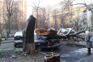В Киеве сильный ветер сносил крыши киосков и валил деревья