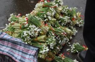 У киевских торговцев весна — продают подснежники 