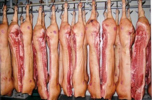 Ветеринары запретили продажу 11 тонн некачественного мяса