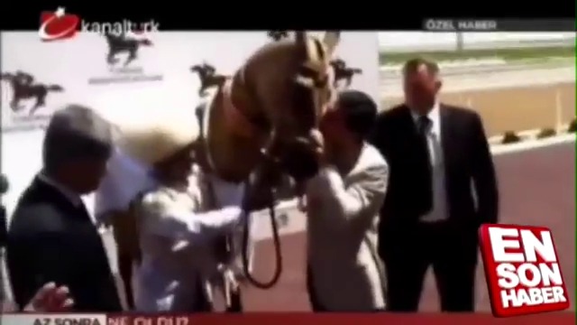 Видео падения президента Туркмении с лошади