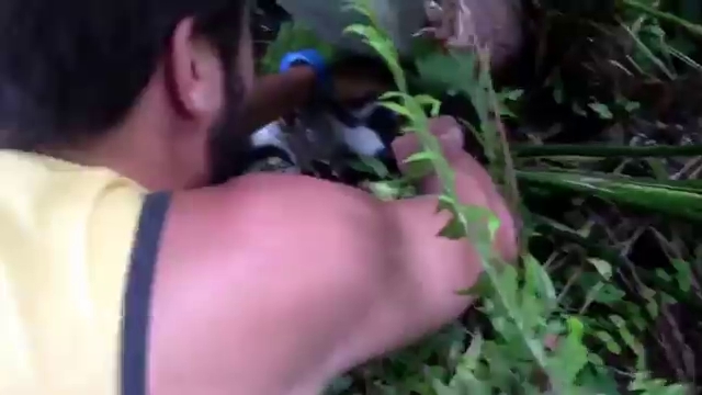 Мужчина спас кота из пасти удава