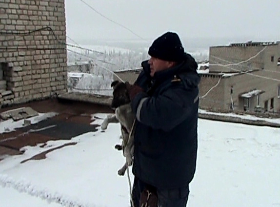 В Луганской области собаку-верхолаза спасли и приютили