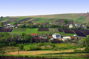 В 2014 году Минагрополитики продолжит стимулировать развитие украинского села