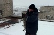 В Луганской области собаку-верхолаза спасли и приютили