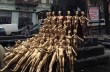 В Киеве показали «Золотую молодежь», а во Львове растаяла баррикада