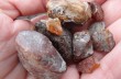 В Житомирской области остановлена незаконная добыча янтаря