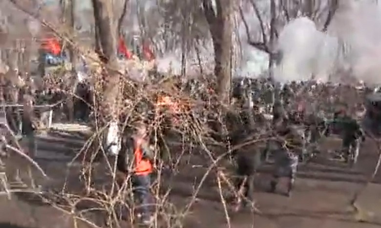 В Мариинском парке начались столкновения митингующих с милицией