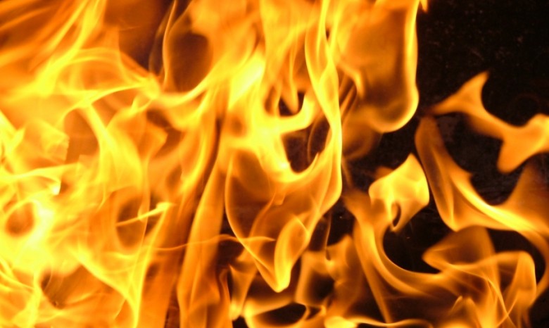 В Луганской области во время пожара в частном доме сгорели два человека